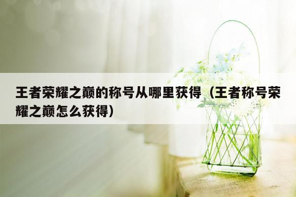 王者荣耀之巅的称号从哪里获得（王者称号荣耀之巅怎么获得）