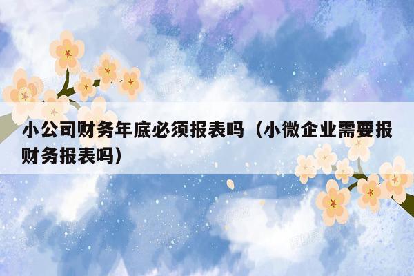 小公司财务年底必须报表吗（小微企业需要报财务报表吗）