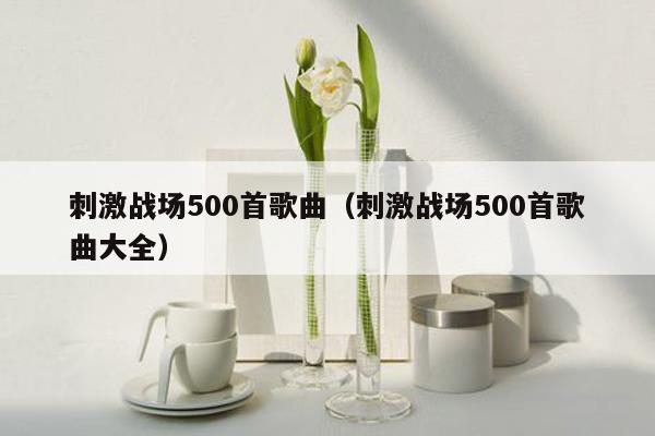 刺激战场500首歌曲（刺激战场500首歌曲大全）