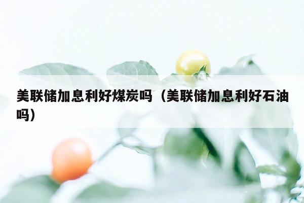美联储加息利好煤炭吗（美联储加息利好石油吗）