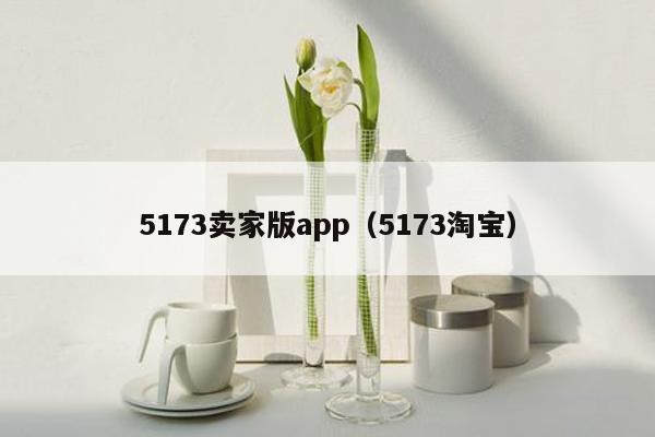 5173卖家版app（5173淘宝）