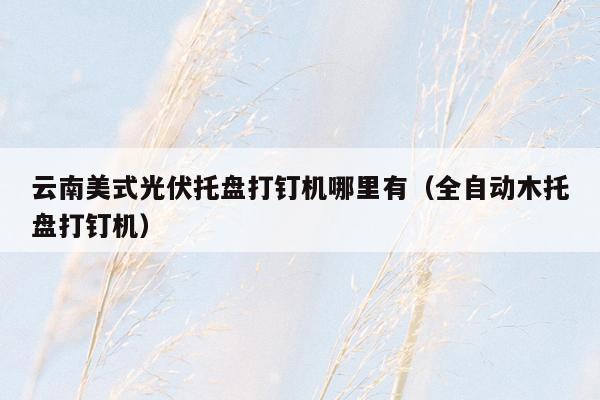 云南美式光伏托盘打钉机哪里有（全自动木托盘打钉机）