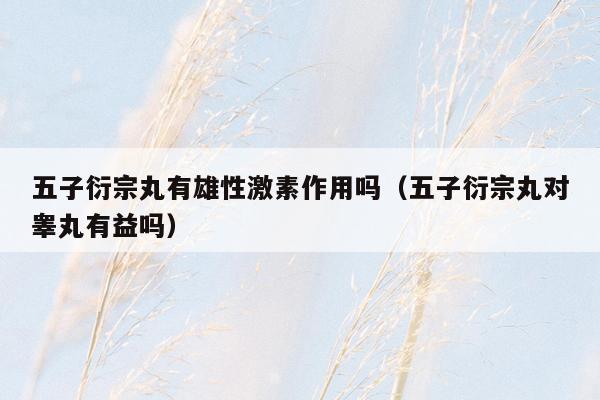 五子衍宗丸有雄性激素作用吗（五子衍宗丸对睾丸有益吗）