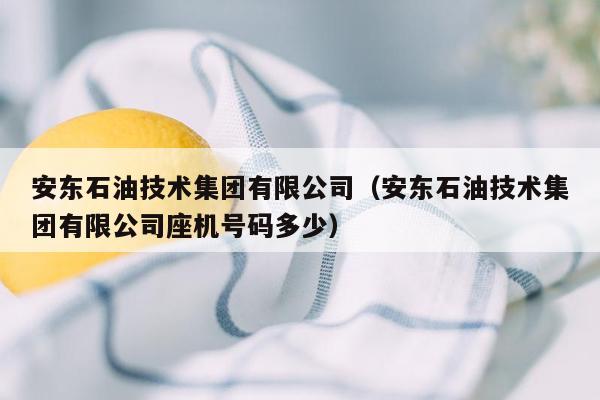 安东石油技术集团有限公司（安东石油技术集团有限公司座机号码多少）