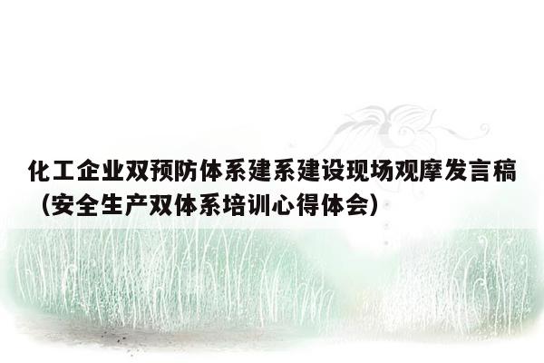 化工企业双预防体系建系建设现场观摩发言稿（安全生产双体系培训心得体会）