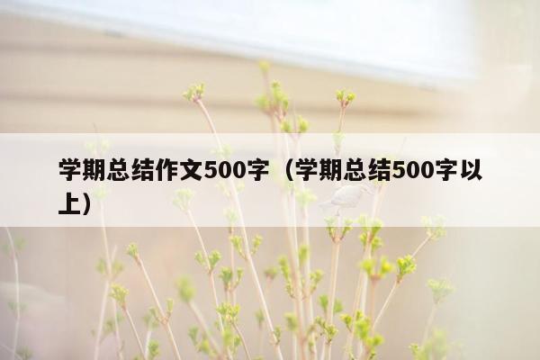 学期总结作文500字（学期总结500字以上）