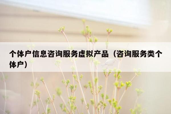 个体户信息咨询服务虚拟产品（咨询服务类个体户）