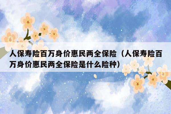 人保寿险百万身价惠民两全保险（人保寿险百万身价惠民两全保险是什么险种）