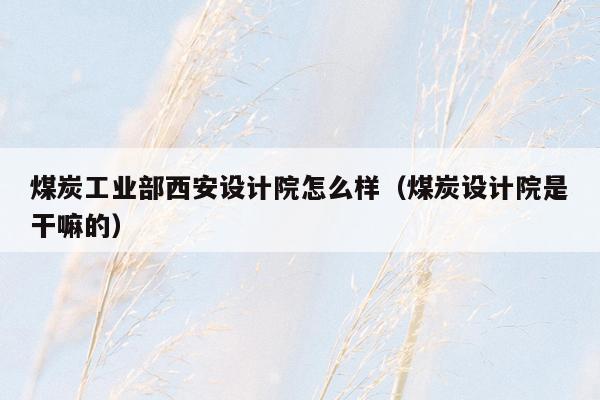 煤炭工业部西安设计院怎么样（煤炭设计院是干嘛的）
