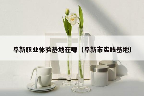阜新职业体验基地在哪（阜新市实践基地）