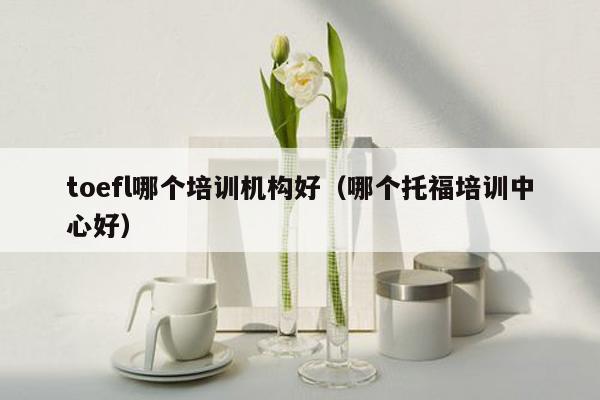 toefl哪个培训机构好（哪个托福培训中心好）