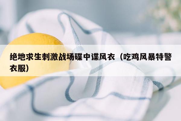 绝地求生刺激战场碟中谍风衣（吃鸡风暴特警衣服）