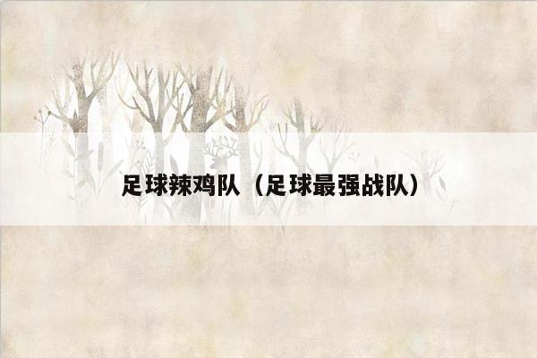 足球辣鸡队（足球最强战队）