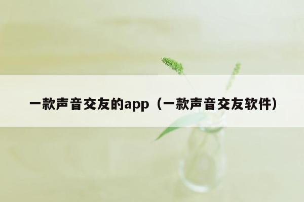 一款声音交友的app（一款声音交友软件）