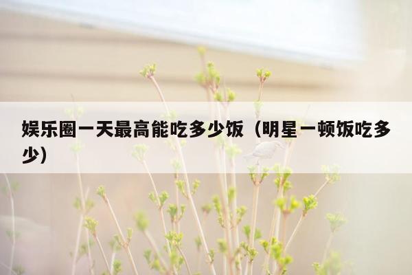 娱乐圈一天最高能吃多少饭（明星一顿饭吃多少）
