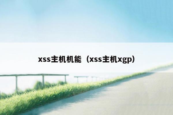 xss主机机能（xss主机xgp）