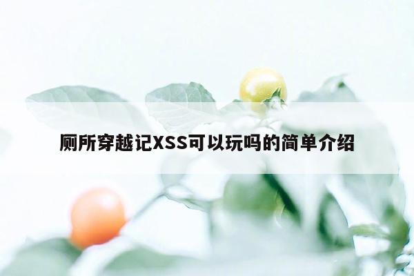 厕所穿越记XSS可以玩吗的简单介绍