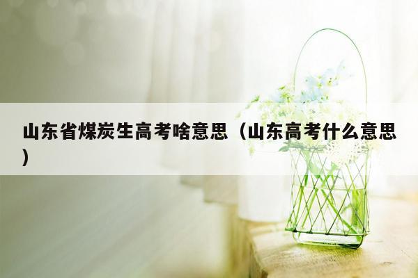 山东省煤炭生高考啥意思（山东高考什么意思）