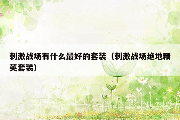 刺激战场有什么最好的套装（刺激战场绝地精英套装）