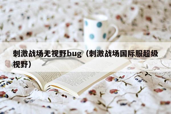 刺激战场无视野bug（刺激战场国际服超级视野）
