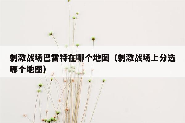 刺激战场巴雷特在哪个地图（刺激战场上分选哪个地图）