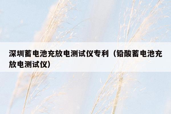深圳蓄电池充放电测试仪专利（铅酸蓄电池充放电测试仪）