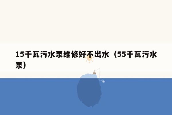 15千瓦污水泵维修好不出水（55千瓦污水泵）