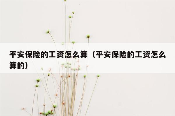 平安保险的工资怎么算（平安保险的工资怎么算的）