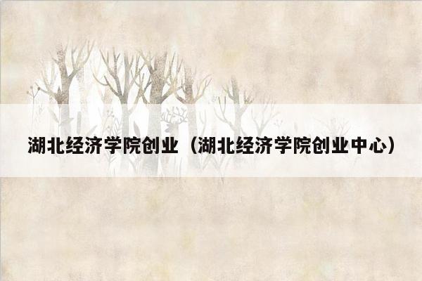 湖北经济学院创业（湖北经济学院创业中心）