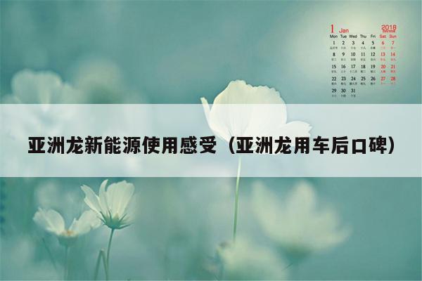 亚洲龙新能源使用感受（亚洲龙用车后口碑）