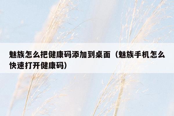 魅族怎么把健康码添加到桌面（魅族手机怎么快速打开健康码）