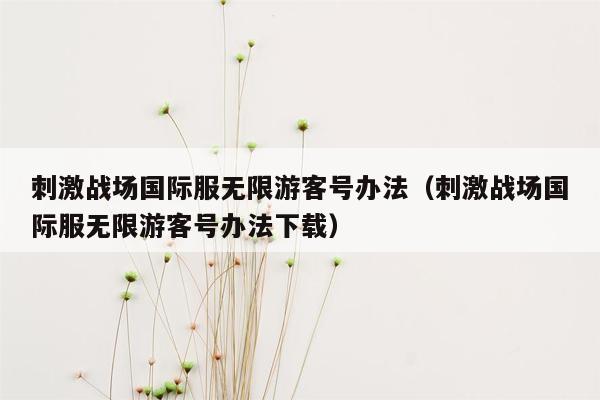 刺激战场国际服无限游客号办法（刺激战场国际服无限游客号办法下载）