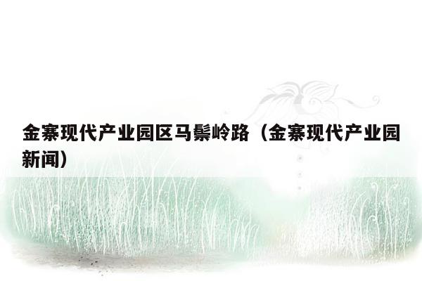 金寨现代产业园区马鬃岭路（金寨现代产业园新闻）