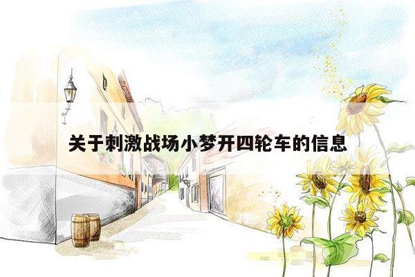 关于刺激战场小梦开四轮车的信息