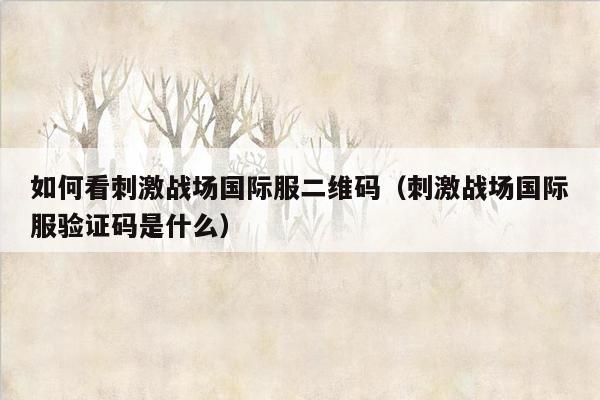 如何看刺激战场国际服二维码（刺激战场国际服验证码是什么）