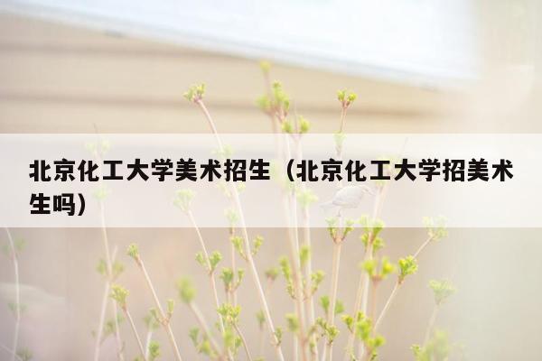 北京化工大学美术招生（北京化工大学招美术生吗）