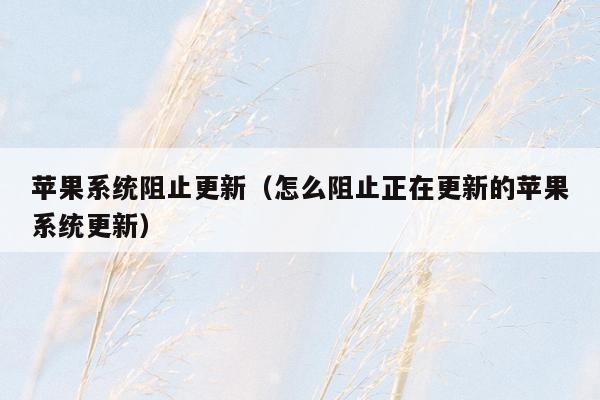 苹果系统阻止更新（怎么阻止正在更新的苹果系统更新）