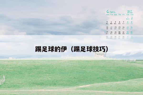 踢足球的伊（踢足球技巧）