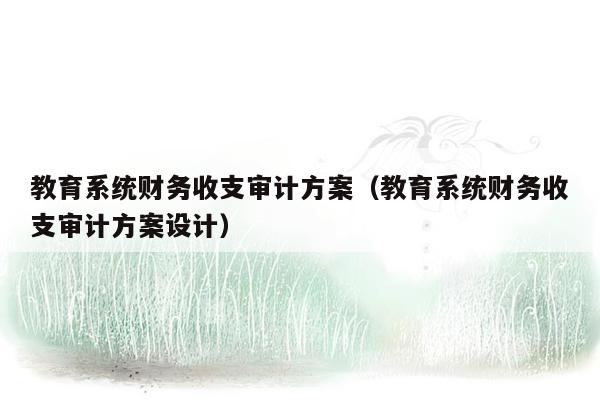 教育系统财务收支审计方案（教育系统财务收支审计方案设计）