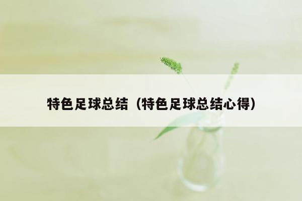特色足球总结（特色足球总结心得）