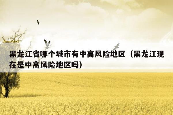 黑龙江省哪个城市有中高风险地区（黑龙江现在是中高风险地区吗）