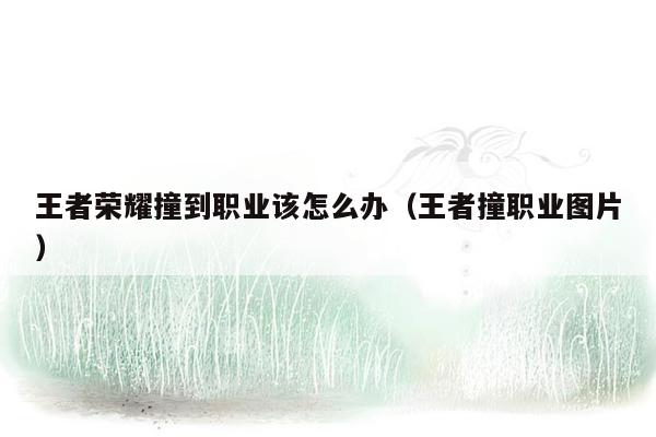 王者荣耀撞到职业该怎么办（王者撞职业图片）