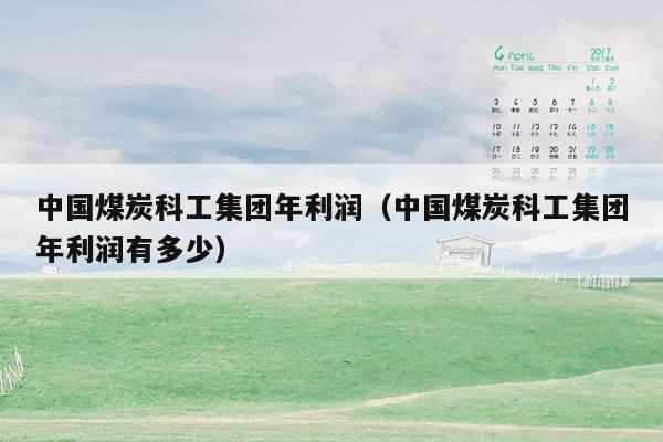 中国煤炭科工集团年利润（中国煤炭科工集团年利润有多少）