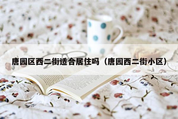 唐园区西二街适合居住吗（唐园西二街小区）