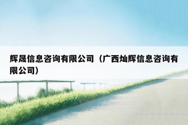辉晟信息咨询有限公司（广西灿辉信息咨询有限公司）