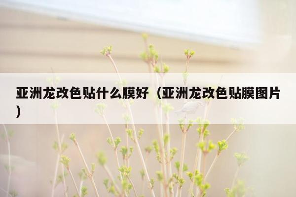 亚洲龙改色贴什么膜好（亚洲龙改色贴膜图片）