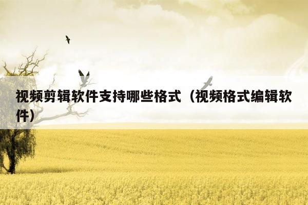视频剪辑软件支持哪些格式（视频格式编辑软件）