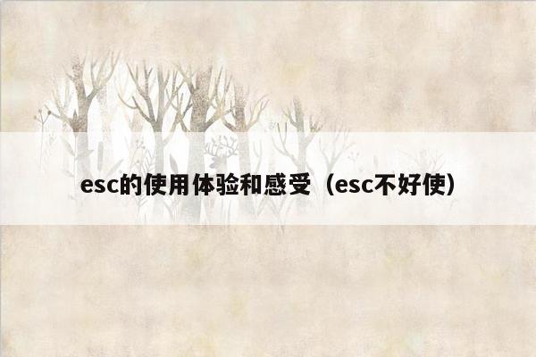 esc的使用体验和感受（esc不好使）