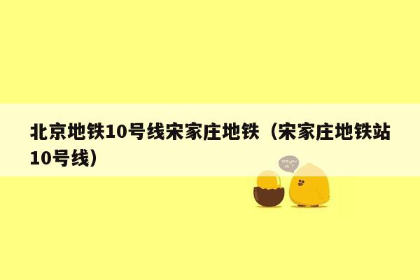 北京地铁10号线宋家庄地铁（宋家庄地铁站10号线）