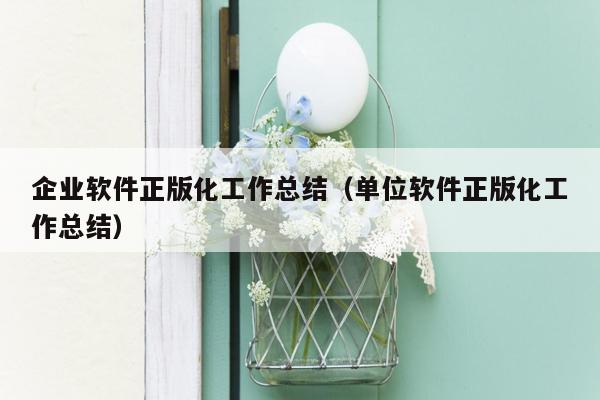 企业软件正版化工作总结（单位软件正版化工作总结）